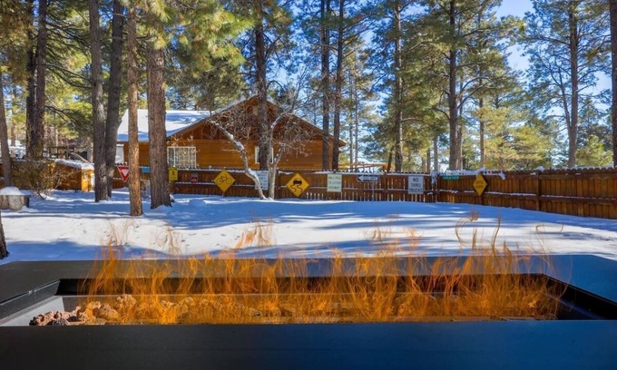 Pagosa Springs Cabin | Mountain Cabin | Fenced yard, Great Location, Mountain Views
