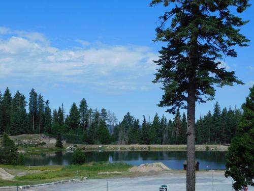 Pinecrest Apartment | Mountain Getaway condo