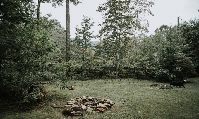 Ridgecrest Cottage | Mountain getaway in Black Mtn/Close to Asheville - PET FRIENDLY