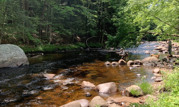 Glenfield Cabin | Mountain River Log Cabin on Otter Creek Scenic Natural Soaking Pool
