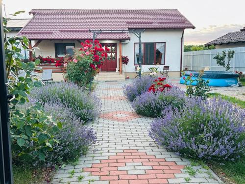 Brasov House | Mountain View House Brasov