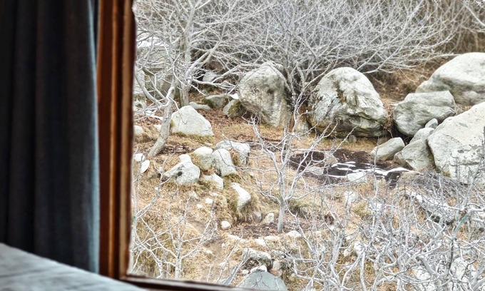 Palchan Hotel | Mountain Villa
