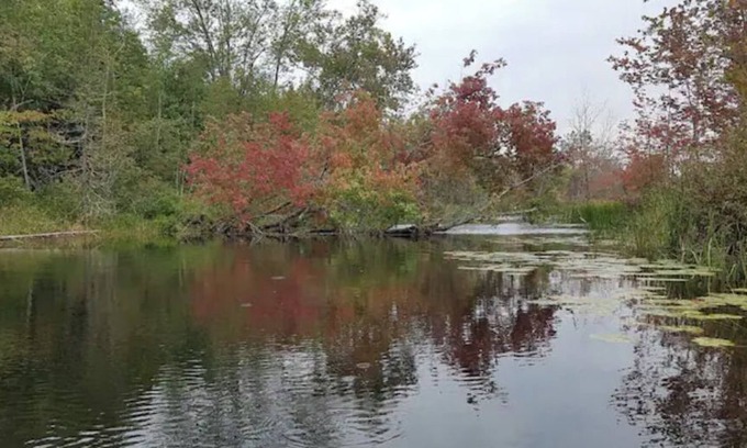 Tyendinaga House | Mozie Park - Your fun romantic destination