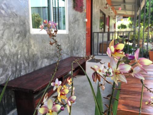 Mae Chaem Hotel | Muangchaem House