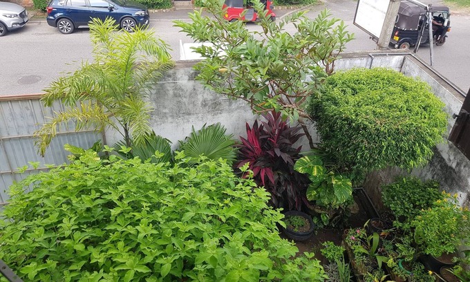 Kirula Apartment | Myhavelock Town Studio Apt, With Own Pvt Gate Parking in Main City