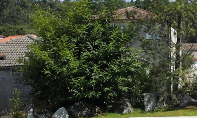 Fafe House | MyStay - Encosta da Barragem