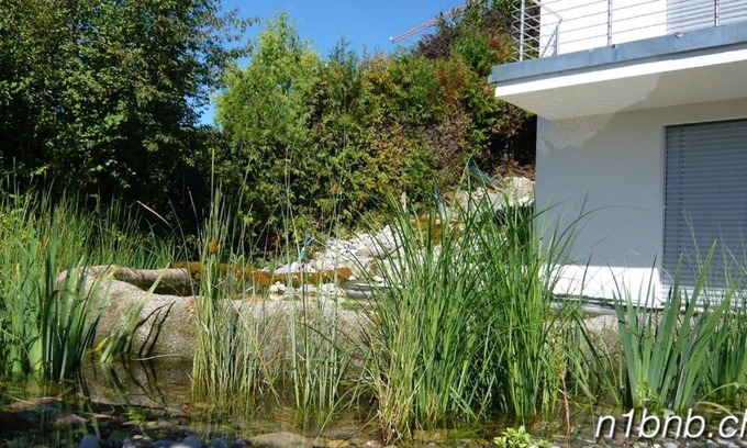 Obersiggenthal Apartment | N1 Standalone House Baden