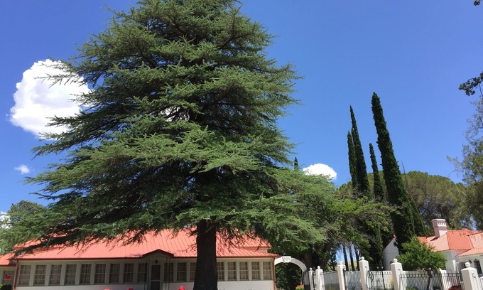 Faywood House | NAN Ranch - On the Magical Mimbres River of New Mexico, a Historic Retreat
