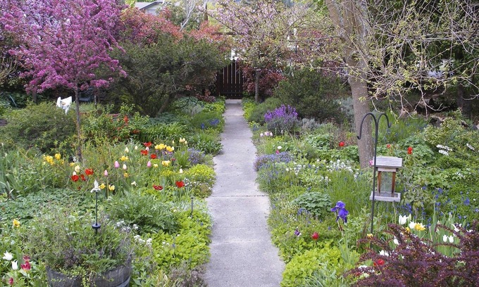 Siskiyou-Hargadine Historic District House | Nancy's Garden Cottage - 1. 5 Blocks to Downtown