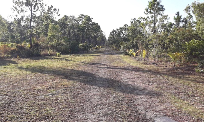 Andros Town Cottage | NATURE LOVERS PARADISE ON THE BEACH.