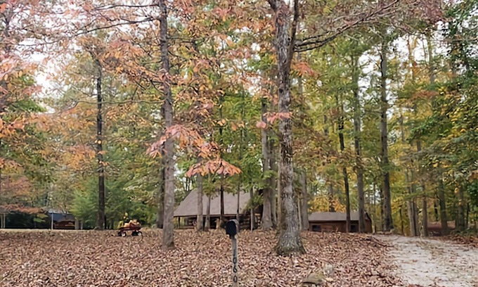 Fairview Cabin | Nature Lovers Paradise- Rustic Cabin on 2 acres with a creek!