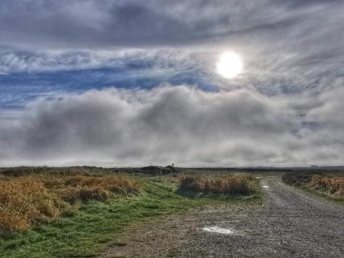 Jerup House | Nature Retreat in albaek - By Traum Ferienwohnungen