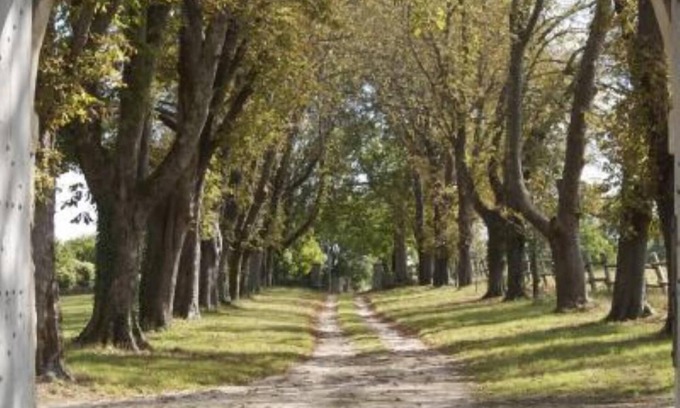 Saivres Other | Near Niort: 16th Century Renaissance Castle (classified Ismh)