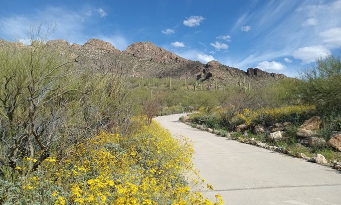 Oro Valley Cottage | Nestled on Pusch Ridge Mountain in Oro Valley with full kitchen