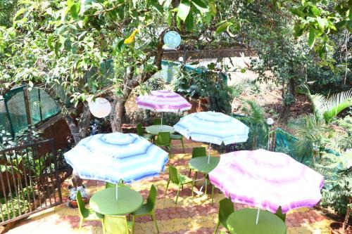 Mahabaleshwar Hotel | Neuaura Stays