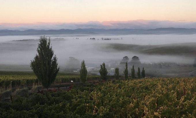 Yamhill Apartment | New Listing. Beautiful apartment in the middle of a Willamette Valley vineyard!