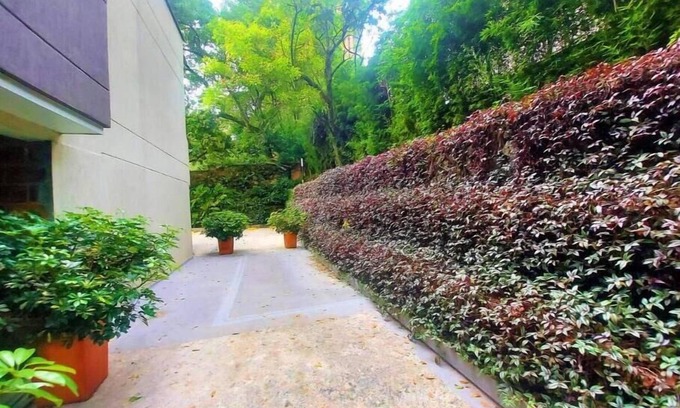 Buenos Aires Apartment | NEW LISTING! Come and live at one enchanted place in Castropol, Medellin.