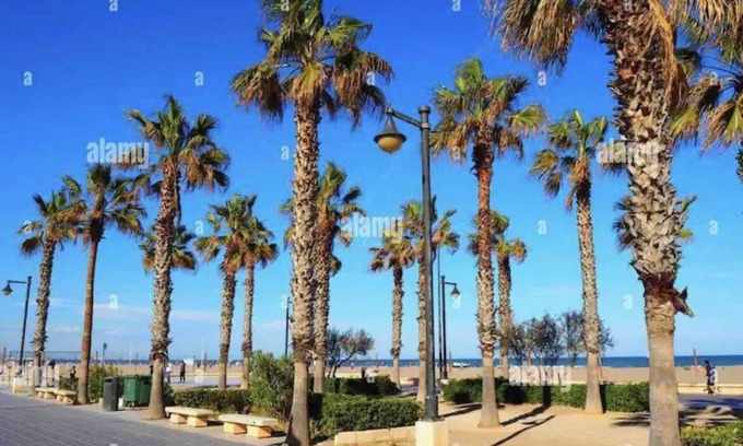 El Cabanyal Apartment | NEW Penthouse at Beach/Cabañal/2 beds/3 baths.nJust 5 minutes from the beach.