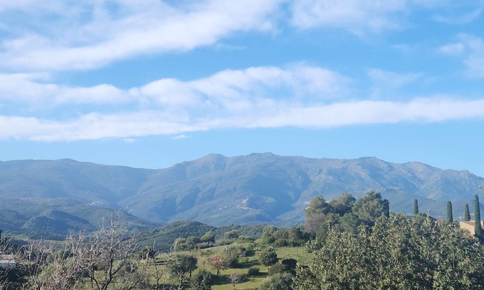 Oletta Apartment | New studio enjoying all-day sunshine with terrace and private garden