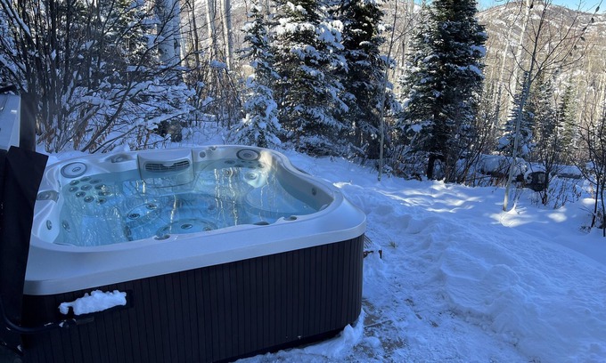 Snowmass Village Apartment | Newly remodeled apartment 1 mile from Base Village. nAvailable long term!