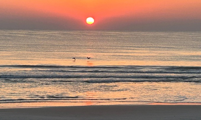 Ponce Inlet Condo | Newly renovated! First floor oceanfront condo with huge patio!