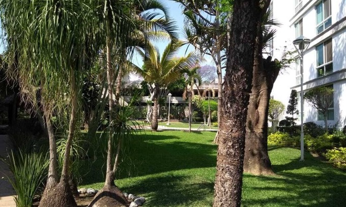 Cuernavaca Apartment | Nice apartment in Cuernavaca. very central.