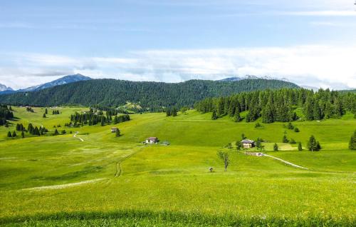 Vela Apartment | Nice Apartment In Trento With Wifi