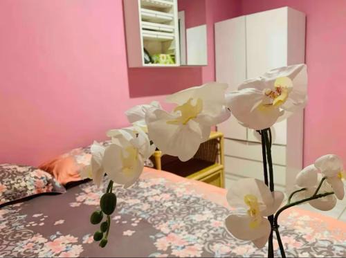 Rosewater House | Nice room less pay near Port Adelaide