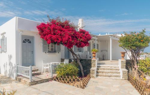 Sifnos Hotel | Nostos Sifnos