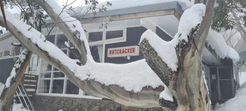 Mount Buller Cabin | Nutcracker Ski Club