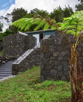 Madalena House | O Farrobo