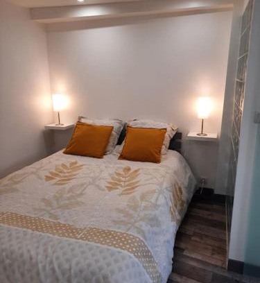 Couzon-au-Mont-d'Or Apartment | O MONT D OR