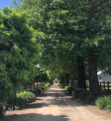 Whorouly House | Oak Lane Guest House & Farm Stay