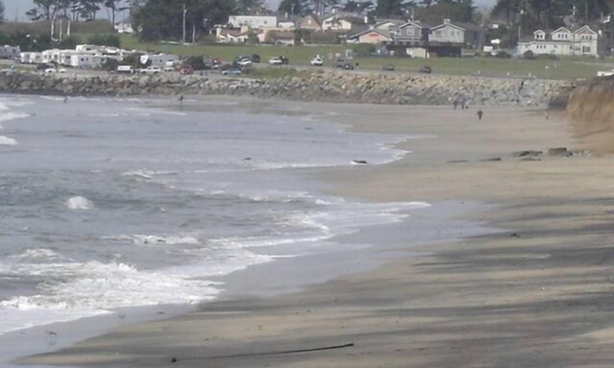 El Granada Apartment | Ocean, Beach, Trails. 5 Minutes West! Lease Available.