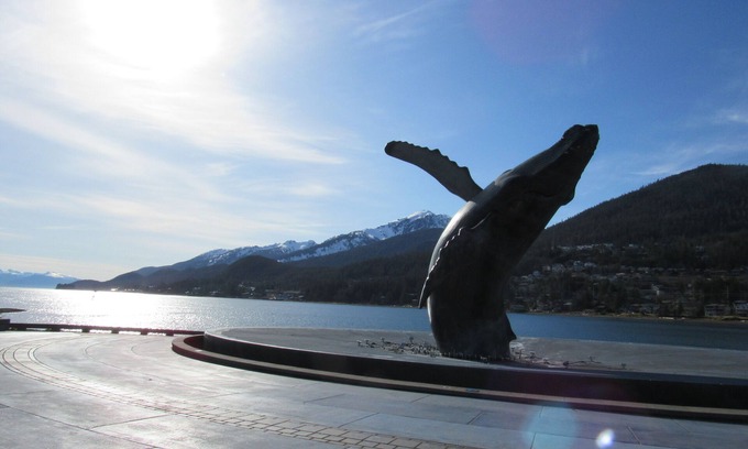West Juneau House | Ocean, Mt Juneau and Mt Roberts Views from Spacious Front Porch! -Open Concept