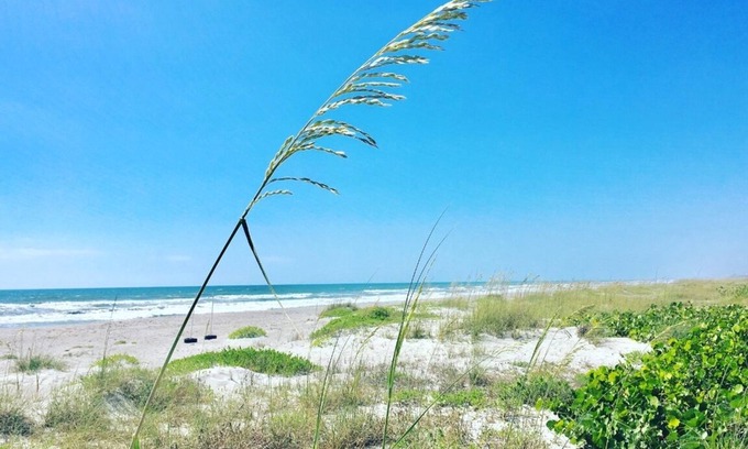 Crescent Beach Condo | Oceanfront Escape: Dive in! Unwind, Relax, and Savor the Breathtaking Views!