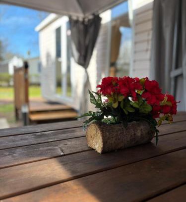La Cotiniere Other | Oléron La Cotinière Camping Nature & Calme, Piscine, Plage à 150m