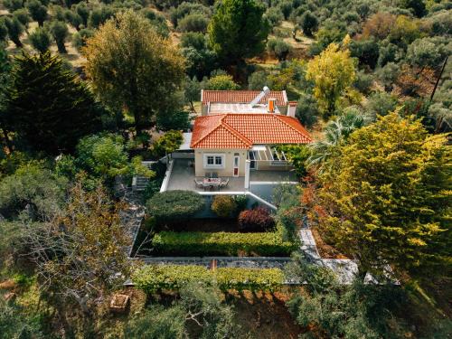 Neapoli Villa | Olive Grove Retreat