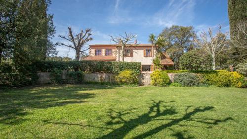 Roccastrada Villa | Olivos