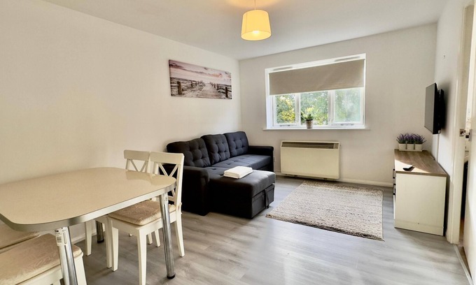 Island Gardens Apartment | One Bed Apartment - Canary Wharf