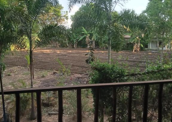 Sigiriya House | One More Night Homestay