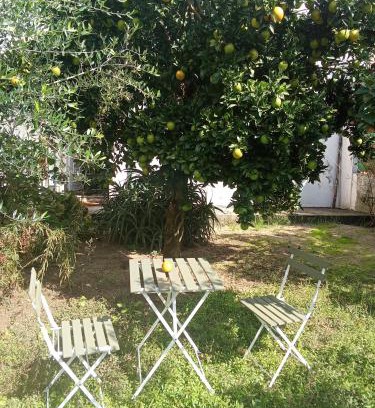 Sao Goncalo Apartment | Orange tree apartment