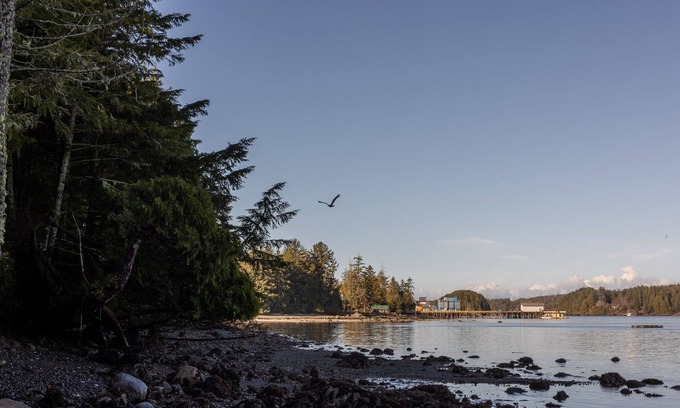 Ucluelet Cabin | Orca Cabin I West Coast Trail I Pets I Big Beach