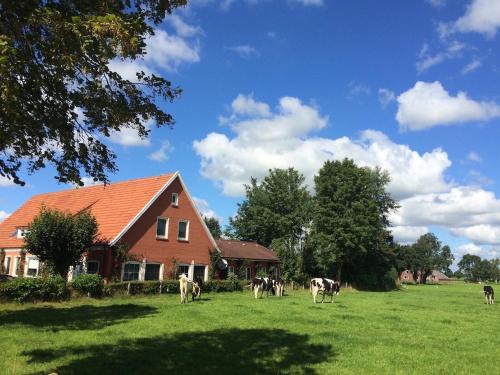 Backemoor House | Ostfriesland Ferien Villa - 24 Personen - Sauna, Whirlpool , Kino, und Bar