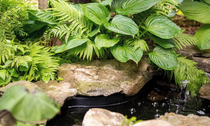 Carrying Place Hotel | Owl's Nest Suites