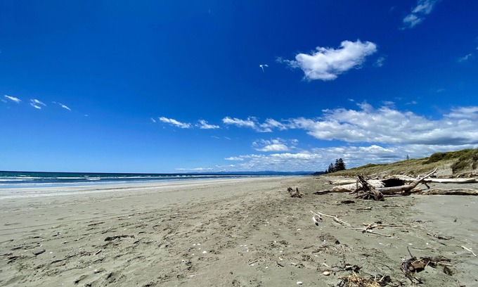 Ohope House | Oystercatcher Bach