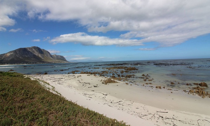 Betty's Bay House | Oystercatcher in Betty's Bay