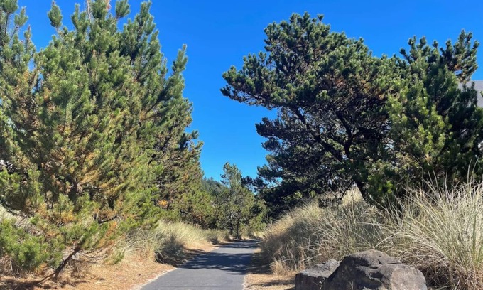 Shorepine Village Apartment | Pacific City Serenity: Walk to Beach, Pelican Brewery & Iconic Cape Kiwanda