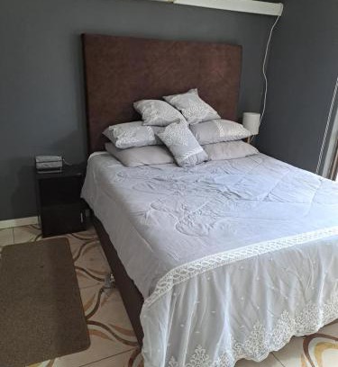 Greater Johannesburg Metropolitan Area Apartment | Paden Guesthouse