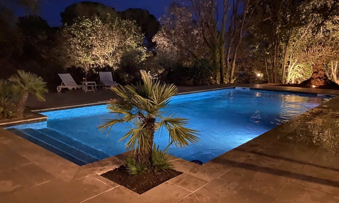 Taradeau Ski Chalet | Palm tree cottage with pool in Taradeau